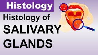 Inderbir Singh Histology Chp14  Histology of SALIVARY GLANDS  Dr Asif Lectures [upl. by Longan]