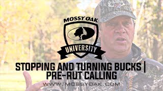 How To Use A Grunt Call  Aggressive Buck Grunt Sequence [upl. by Constance139]