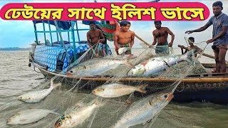 Big Hilsa fish catching on the River with fishing bot [upl. by Llorre]