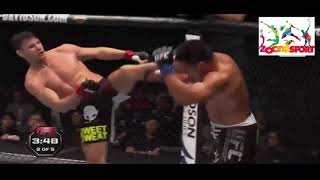 Michael Bisping vs Cung Le UFC [upl. by Ileane119]