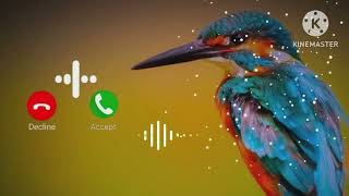 abe yaar message jakar dimag kharab kar diya new 2024 messenger ringtone SMS ringtone tone 😱😱 [upl. by Nolie105]