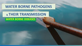 WATERBORNE DISEASES WATERBORNE PATHOGENS amp THEIR TRANSMISSION  ENVIRONMENTAL MICROBIOLOGY [upl. by Aedni]