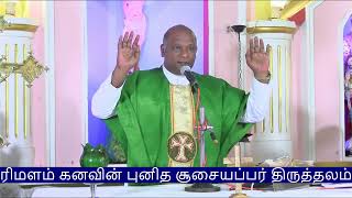 20th Sunday Mass 18 August 2024 Arimalam Shrine Live [upl. by Schnapp]