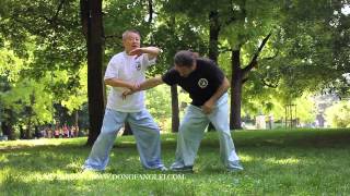 Kung fu fighting techniques  baguazhang  M Xu Zaixing [upl. by Ferullo111]