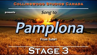 Camino Frances Stage 3 Song to Pamplona from Zubiri [upl. by Libbi]