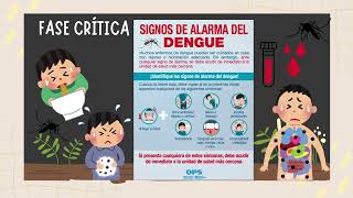 Fases y Síntomas del Dengue [upl. by Koy]