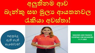 Latest Banking amp Finance Job Vacancies in Sri Lanka  Opportunities for Freshers amp Experienced 2024 [upl. by Kylstra]