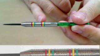 Jamie Lewis Rasta darts [upl. by Desmond]