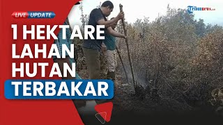 1 Hektare Lahan Hutan Bantan Belitung Terbakar Polisi Hutan bersama Warga Berupaya Padamkan Api [upl. by Jaymie706]