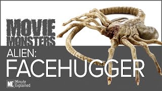 Alien FACEHUGGERS Explained [upl. by Kcirded811]