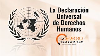 La Declaración Universal de Derechos Humanos en un minuto  DE1M  28 [upl. by Neros]