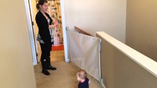 Dream Baby Gate  Product Review [upl. by Nuyh]