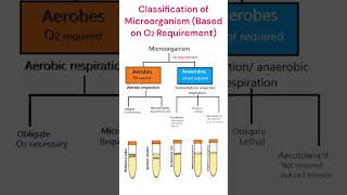 Classification of Microorganism O2 Requirement microbiology classification [upl. by Abih167]