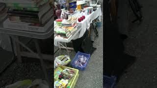 Videgrenier videgrenier montagnenoire brocante [upl. by Acinomaj556]