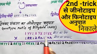 फीनोटाइप व जीनोटाइप अनुपात निकालने की सरल विधि  Tricky way to find out phenotype amp Genotype ratio [upl. by Norel619]