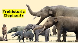 The 20 Different Types Of Prehistoric Elephants [upl. by Koeppel]