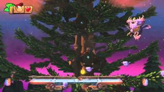 Donkey Kong Country Tropical Freeze  2Boss Affenaufstand  Extraschwer [upl. by Yur440]