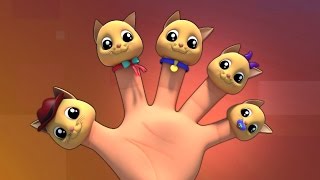 gatti famiglia dito  dito nursery rhyme famiglia  Cats Finger Family  Kids Rhyme amp Baby Song [upl. by Alejoa]