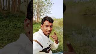 Hayare Teri mithi boli funny song [upl. by Nnylkoorb446]