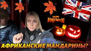 Жизнь в Англии🇬🇧Фермерский магазинАфриканские мандариныЗакупкаРАСПАКОВКА🎃Тыквы на ХЕЛЛОУИН [upl. by Tuneberg]