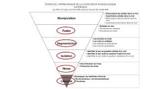 Étapes de lapprentissage de la conscience phonologique [upl. by Eiramyllek721]