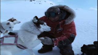 Disney Cinemagic Spain  BAJO CERO EIGHT BELOW  Promo [upl. by Lengel]