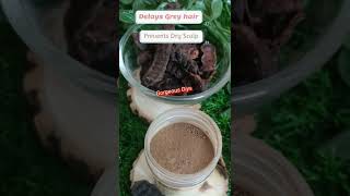 Natural Shikakai Powder ll Shikakai Powder For Hair Growth ll How To Make Shikakai Powder At Home [upl. by Adnauq]