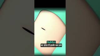 चलिए देखते हैं कैसे होती है हार्ट की एंजियोग्राफीAnimated Heart Angiography Procedure [upl. by Eniamert]