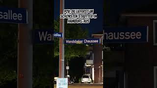 Wandsbek der schönste Stadtteil Hamburgs ShortsYouTubeShortsViralTrendingExplore [upl. by Kerrison]