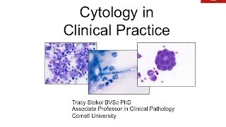 Cytology in Clinical Practice  conference recording [upl. by Jefferson82]