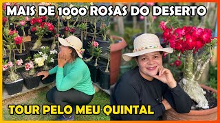 TOUR PELAS MINHAS PLANTAS  MAIS DE 1000 RDS [upl. by Camel]