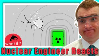 What If You Swim in a Nuclear Spent Fuel Pool  Nuclear Engineer Reacts [upl. by Aelahc]