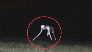 10 Most SCARY Creatures Caught On Camera  Scary Comp V20 [upl. by Northey]