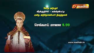 Promo  புதிய ஆயருக்கான வரவேற்பு மற்றும் ஜெபமாலை தோட்டத்திற்கான அடிக்கல் நாட்டு விழா  MADHA TV [upl. by Roselba]