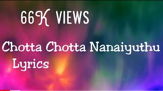 Chotta Chotta Nanaiyuthu சொட்ட சொட்ட நனையுது song with Lyrics from Taj Mahal movie [upl. by Atis543]