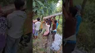 manual installation of electrical pole bihar electricity india viralvideo [upl. by Oiciruam716]