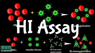 Hemaglutination Inhibition Assay  HI Assay  HAI Assay [upl. by Oijres156]