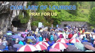 Lourdes Holy Mass with diocese of Middlesbrough 🇬🇧 [upl. by Nohtanoj647]