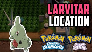 How to Catch Larvitar  Pokémon Brilliant Diamond amp Shining Pearl [upl. by Aniratak]