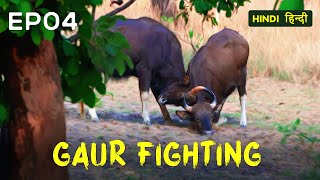 EP 04  Pench Tiger Reserve Safari  Searching for Black Leopard  4K Video Hindi  हिन्दी [upl. by Woodall]