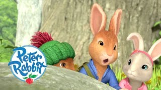 Peter Rabbit  Meeting all the Rabbits and Friends  Cartoons for Kids [upl. by Mayyahk]