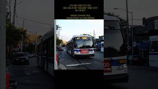 MTA New York City Bus 2012 New Flyer quotXcelsiorquot XD60 Artic 4737 On The Bx7 mtabus nycbus metro [upl. by Adnolor]