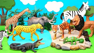 Wild Zoo Animal Toys and Imaginative Play For Kids [upl. by Esilahs791]