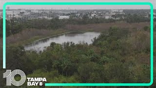 Manatee County Commission passes resolution to release wetland easements to local developer [upl. by Leahcimluap]