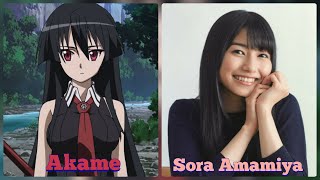 Voice Actors Akame Ga Kill [upl. by Kcirddet690]