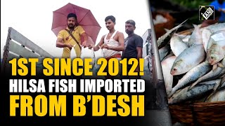 Tonnes of Hilsa fish imported from Bangladesh First since 2012 [upl. by Vikki132]