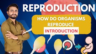 Introduction How Do Organism Reproduce Class 10  Class 10 Science Chapter 8  CBSE [upl. by Huttan766]