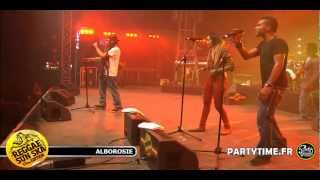 ALBOROSIE  Live HD at Reggae Sun Ska 2012 by Partytimefr [upl. by Ayikal]