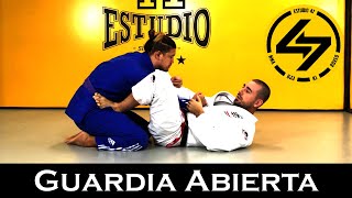 BJJ  🔓 Guardia ABIERTA  Técnicas de Jiu Jitsu en español  Posiciones 2 [upl. by Ajak]