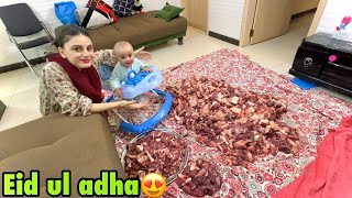 Qurbani ka Pehla din 😍  Eid ul adha Mubarak❤️ [upl. by Ellekcim]